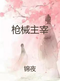 枪械主宰封面