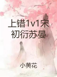 上错1v1宋初衍苏晏封面