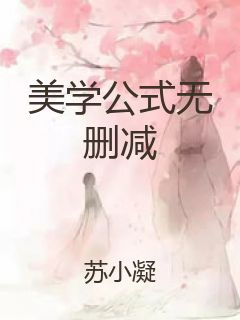美学公式无删减封面