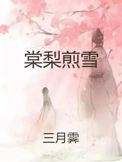 棠梨煎雪封面