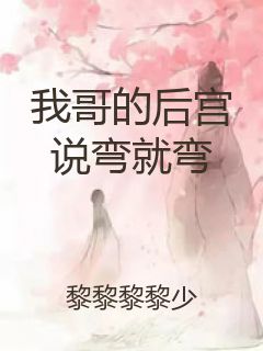 我哥的后宫说弯就弯封面