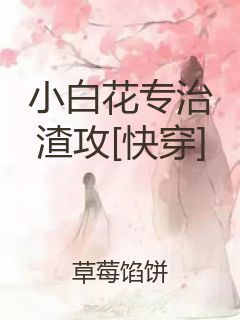 小白花专治渣攻[快穿]封面